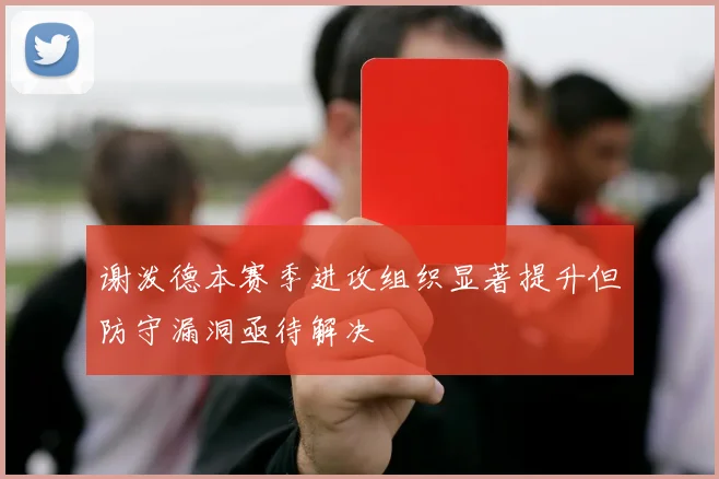 谢泼德本赛季进攻组织显著提升但防守漏洞亟待解决