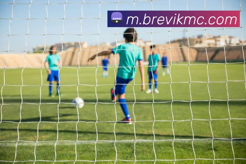 奖项证书